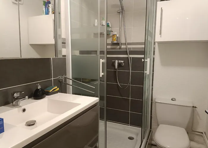 公寓 Duplex A Argeles-sur-mer Avec Parking - Fr-1-776-148 *