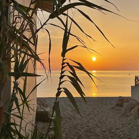 Duplex A Argeles-sur-mer Avec Parking - Fr-1-776-148 Argeles-sur-Mer